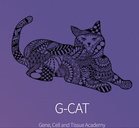 G-CAT Academy mark, a patterned cat illustration