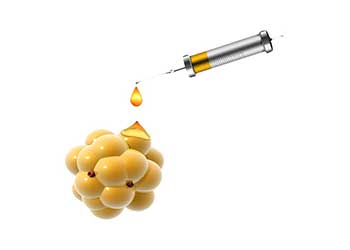 Illustration of a syringe drawing from a cluster of adipocytes